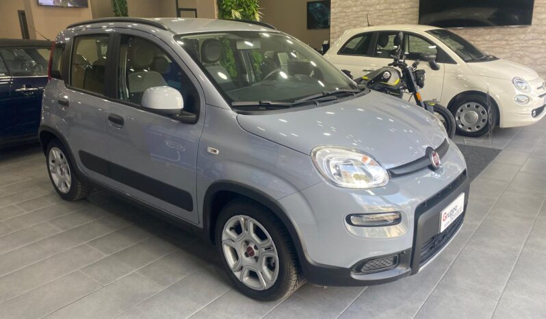 Fiat Panda 1.0 Firefly pieno